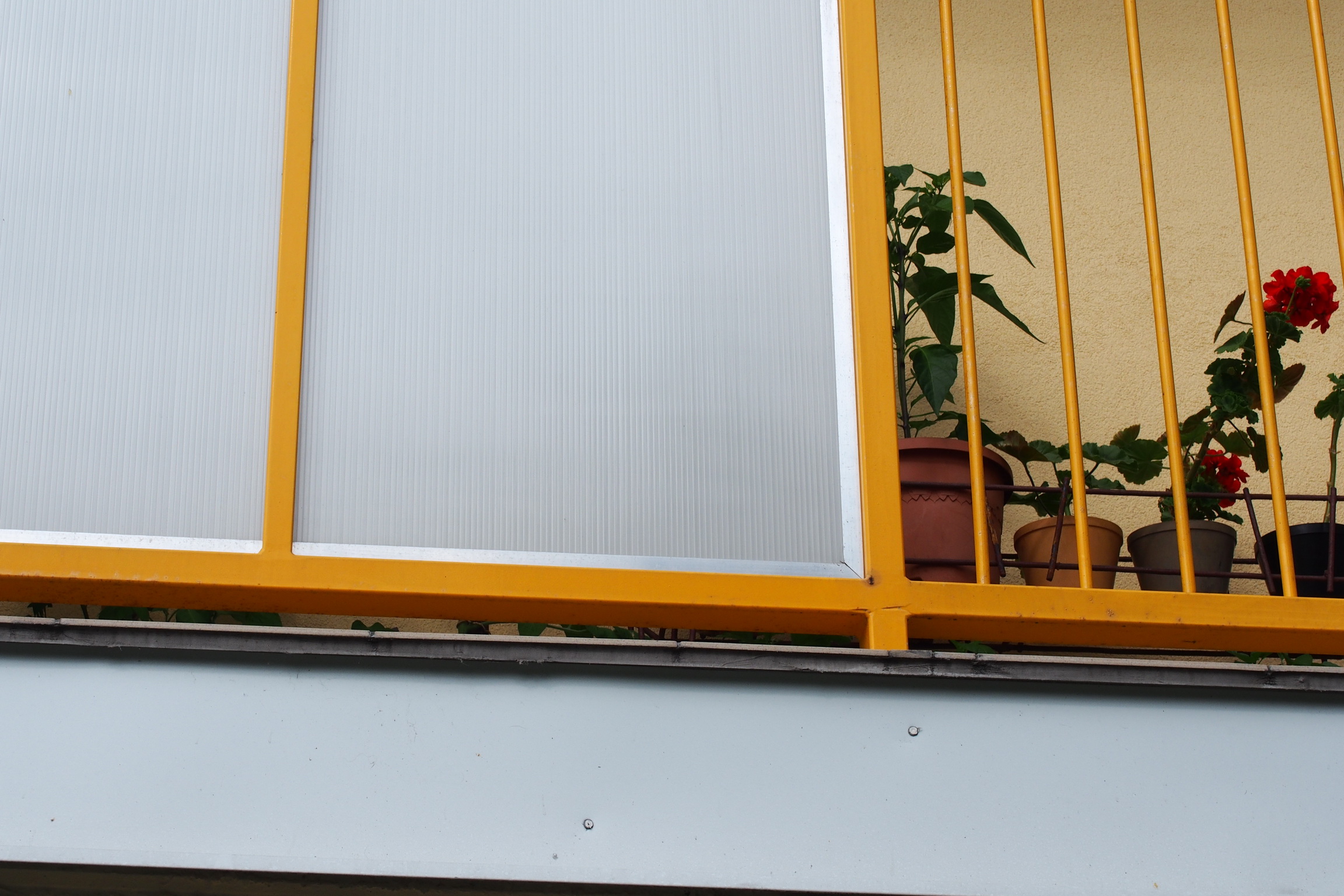 P7162254_resize